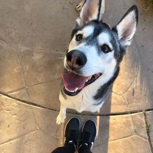 Meet your Posher, Anna